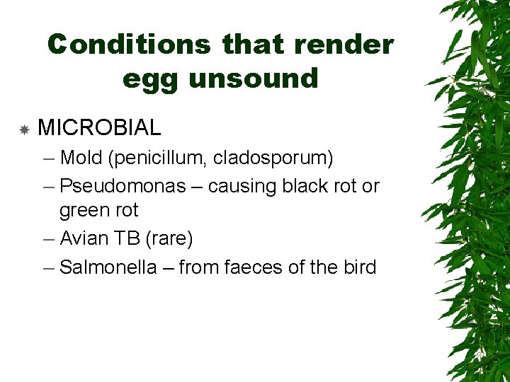 Conditions that render egg unsound MICROBIAL – Mold (penicillum, cladosporum) – Pseudomonas – causing