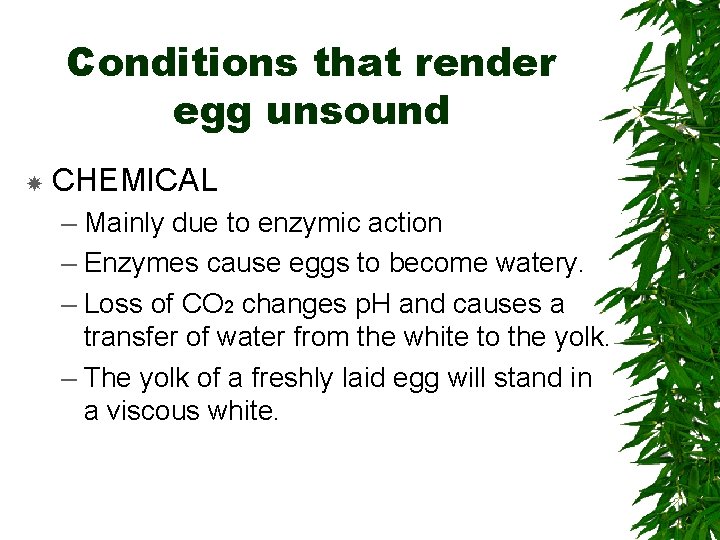 Conditions that render egg unsound CHEMICAL – Mainly due to enzymic action – Enzymes