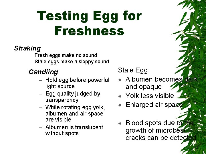 Testing Egg for Freshness Shaking Fresh eggs make no sound Stale eggs make a