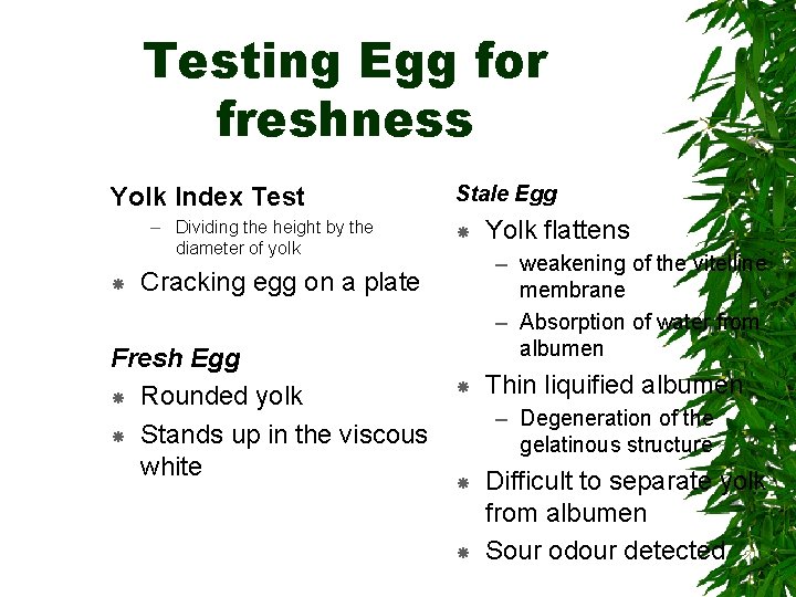 Testing Egg for freshness Yolk Index Test – Dividing the height by the diameter