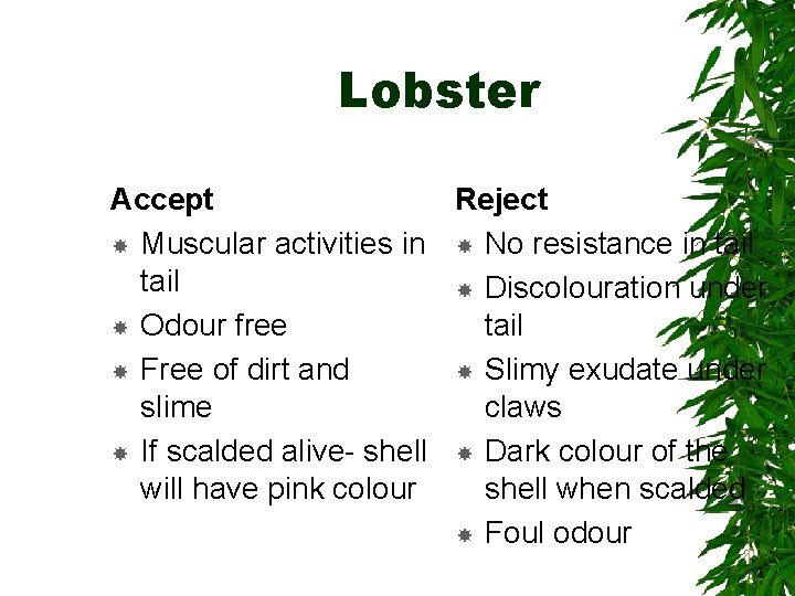 Lobster Accept Reject Muscular activities in No resistance in tail Discolouration under Odour free