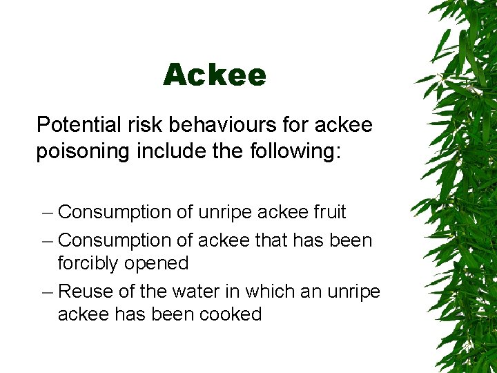 Ackee Potential risk behaviours for ackee poisoning include the following: – Consumption of unripe