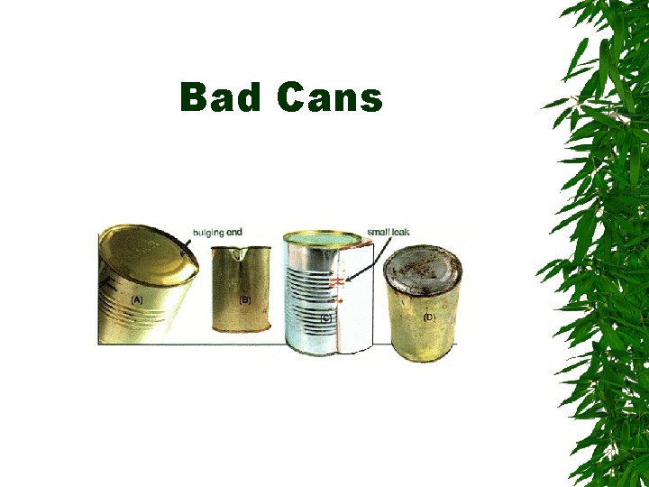 Bad Cans 