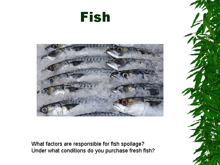 Fish What factors are responsible for fish spoilage? Under what conditions do you purchase