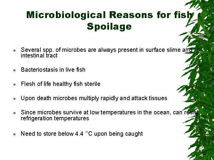 Microbiological Reasons for fish Spoilage Several spp. of microbes are always present in surface