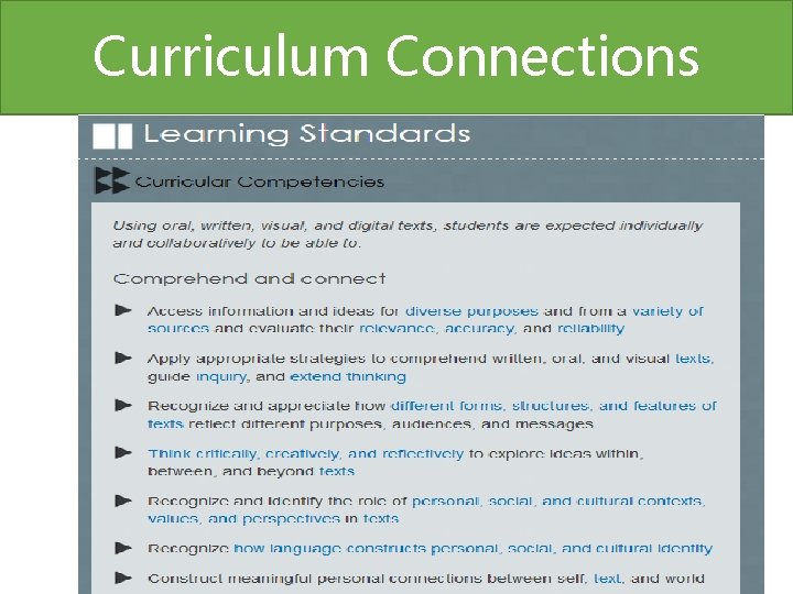 Curriculum Connections 
