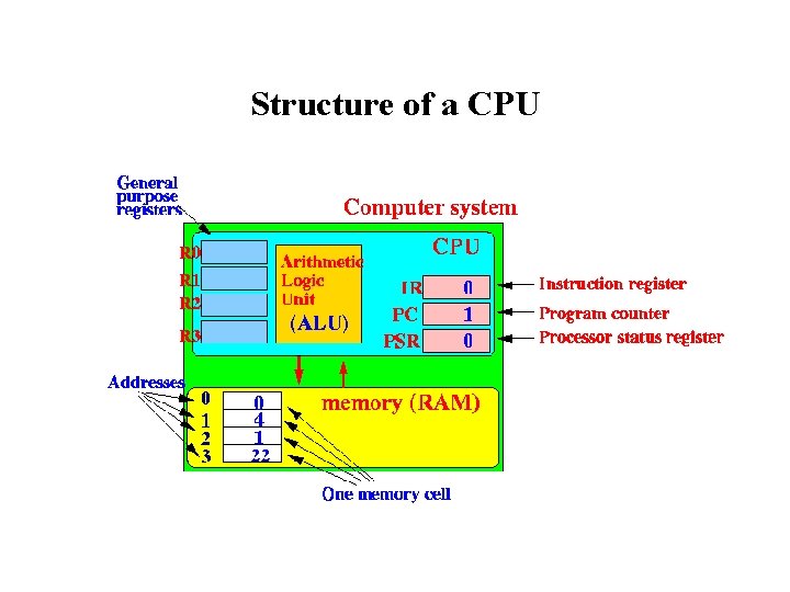 Structure of a CPU 