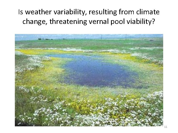 Is weather variability, resulting from climate change, threatening vernal pool viability? 11 