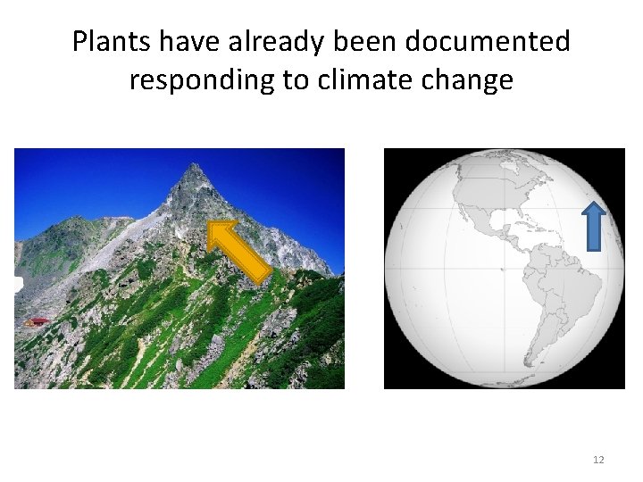 Plants have already been documented responding to climate change 12 