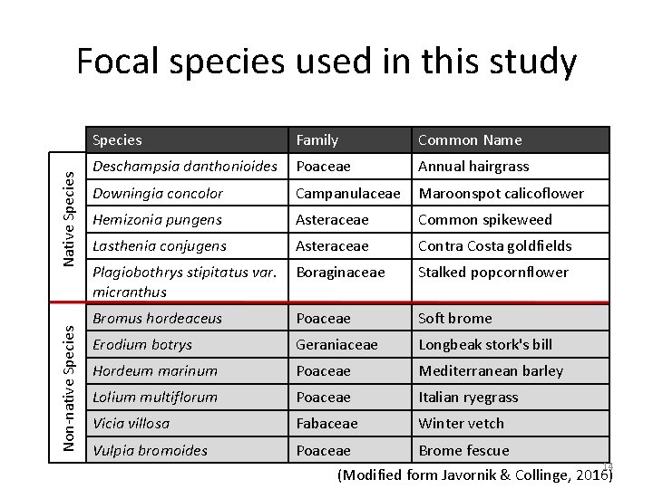 Non-native Species Native Species Focal species used in this study Species Family Common Name