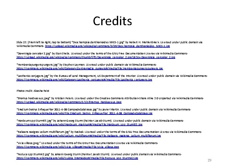 Credits Slide 15: (From left to right; top to bottom) “Deschampsia danthonioides NRCS-1. jpg”