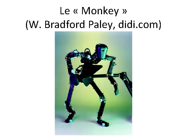 Le « Monkey » (W. Bradford Paley, didi. com) 