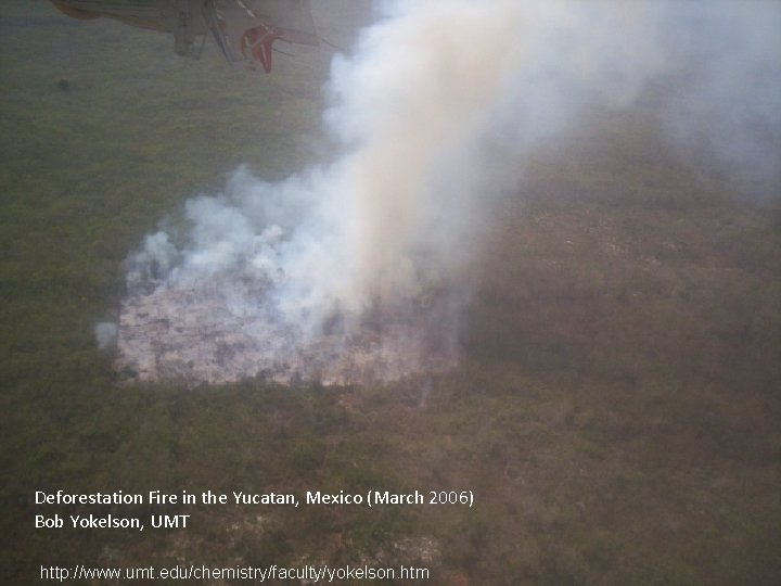 Deforestation Fire in the Yucatan, Mexico (March 2006) Bob Yokelson, UMT http: //www. umt.