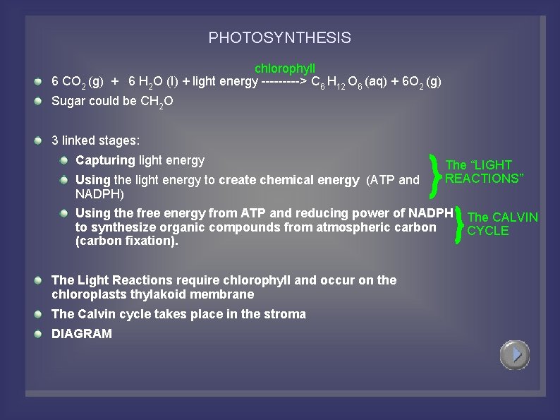 PHOTOSYNTHESIS chlorophyll 6 CO 2 (g) + 6 H 2 O (I) + light
