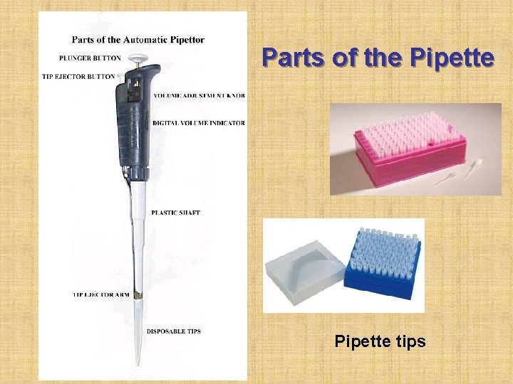 Parts of the Pipette tips 