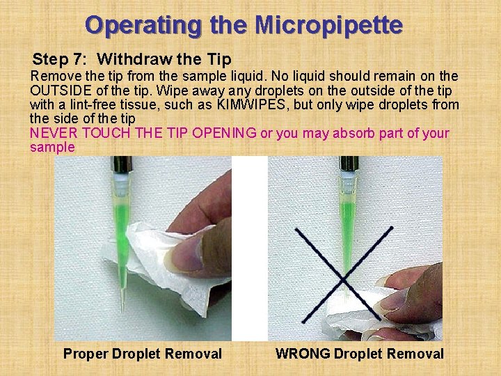 Operating the Micropipette Step 7: Withdraw the Tip Remove the tip from the sample