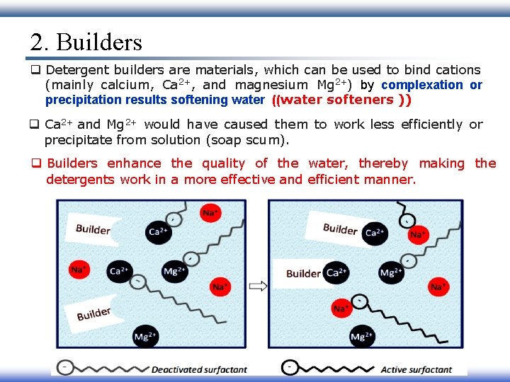 2. Builders q Detergent builders are materials, which can be used to bind cations