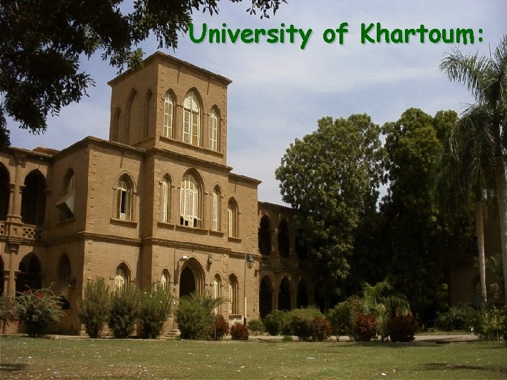 University of Khartoum: 