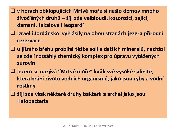 q v horách obklopujících Mrtvé moře si našlo domov mnoho živočišných druhů – žijí