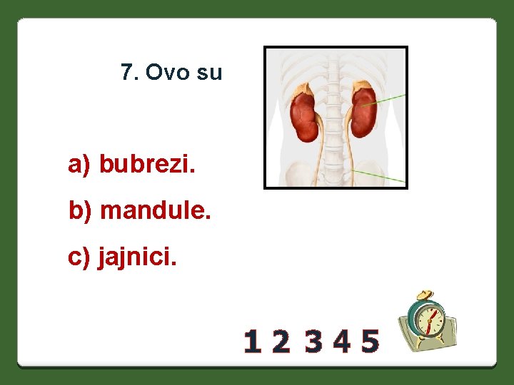 7. Ovo su a) bubrezi. b) mandule. c) jajnici. 