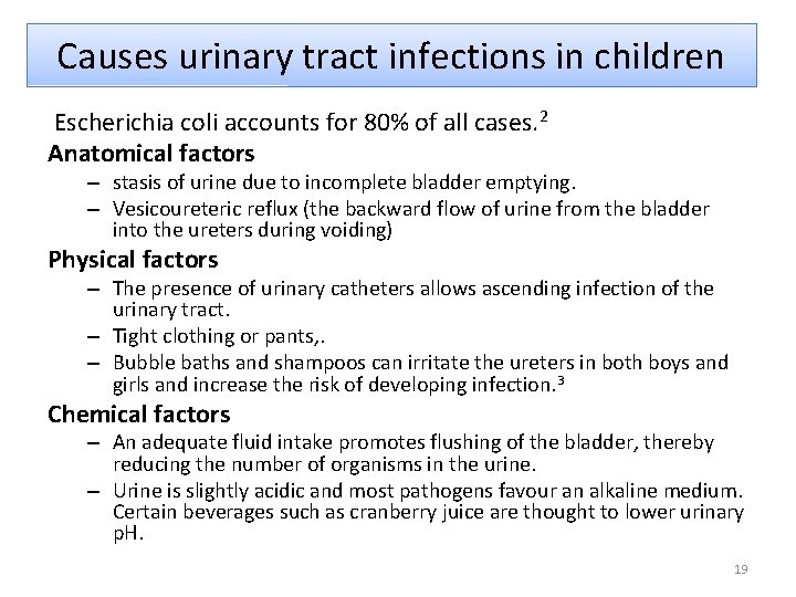 Causes urinary tract infections in children Escherichia coli accounts for 80% of all cases.