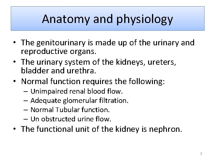 Anatomy and physiology • The genitourinary is made up of the urinary and reproductive