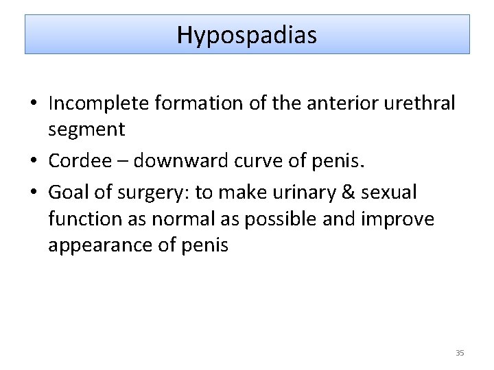 Hypospadias • Incomplete formation of the anterior urethral segment • Cordee – downward curve