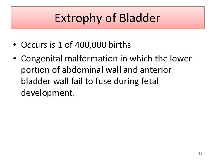 Extrophy of Bladder • Occurs is 1 of 400, 000 births • Congenital malformation