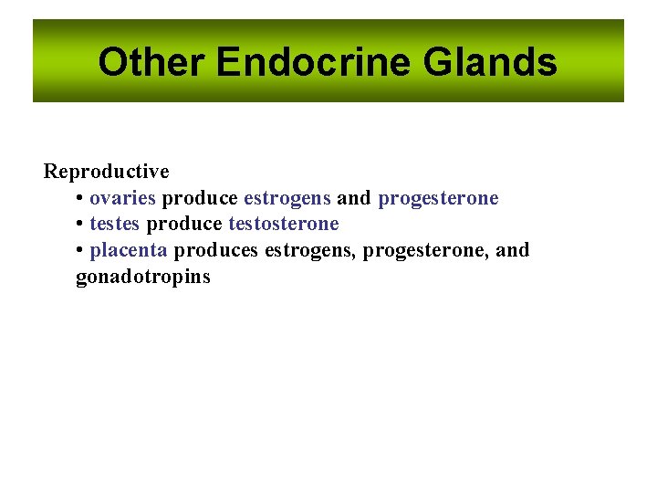 Other Endocrine Glands Reproductive • ovaries produce estrogens and progesterone • testes produce testosterone