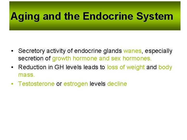Aging and the Endocrine System • Secretory activity of endocrine glands wanes, especially secretion