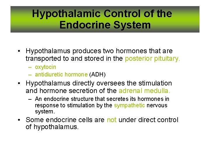 Hypothalamic Control of the Endocrine System • Hypothalamus produces two hormones that are transported