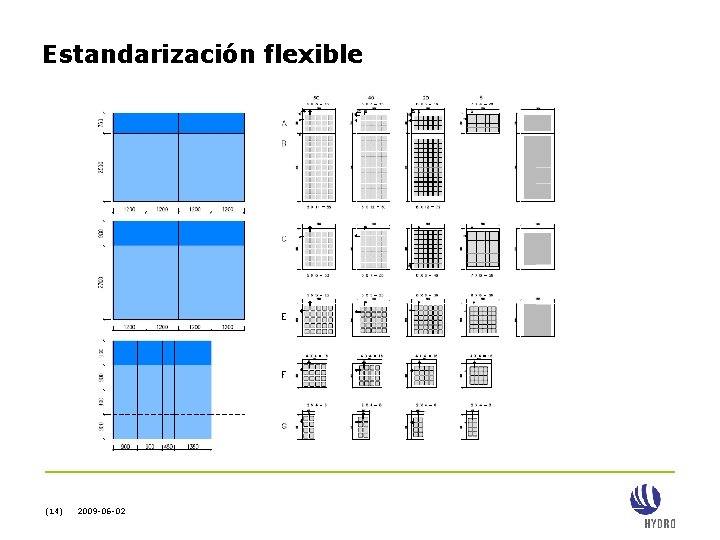 Estandarización flexible (14) 2009 -06 -02 