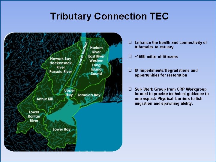 Tributary Connection TEC � Enhance the health and connectivity of tributaries to estuary �