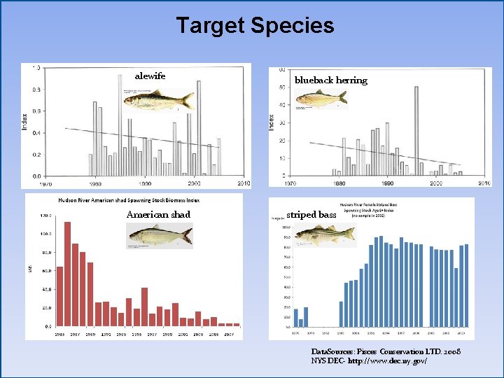 Target Species alewife American shad blueback herring striped bass Data. Sources: Pisces Conservation LTD.