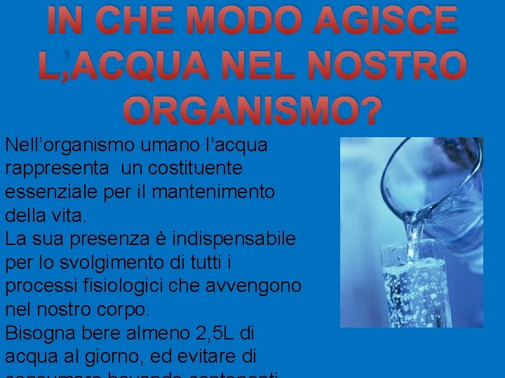 IN CHE MODO AGISCE L’ACQUA NEL NOSTRO ORGANISMO? Nell’organismo umano l’acqua rappresenta un costituente