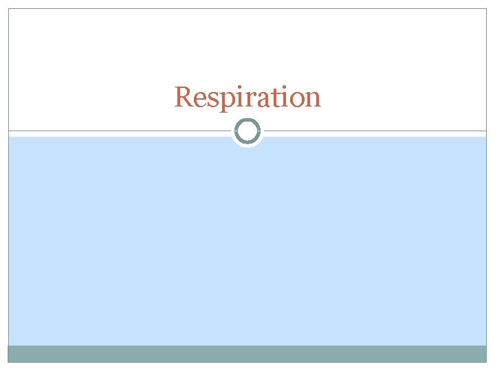 Respiration Respiration
