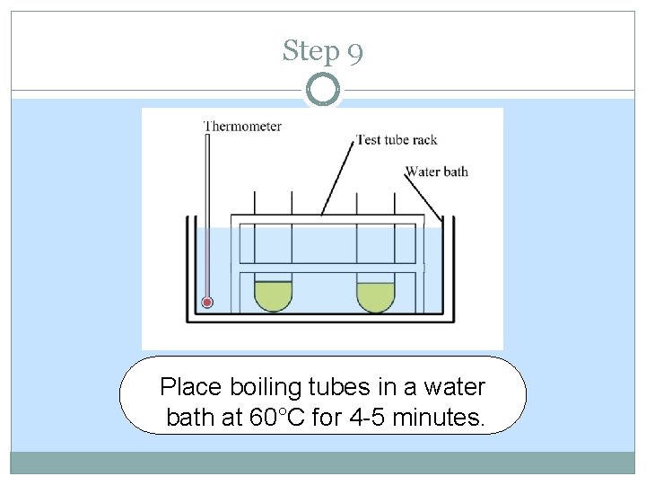 Step 9 Place boiling tubes in a water bath at 60°C for 4 -5 Step 9 Place boiling tubes in a water bath at 60°C for 4 -5