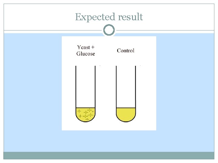 Expected result Expected result