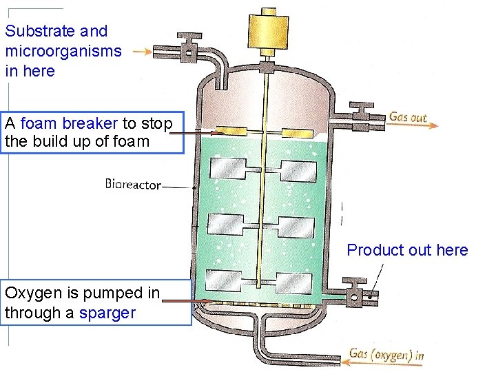 Substrate and microorganisms in here A foam breaker to stop the build up of Substrate and microorganisms in here A foam breaker to stop the build up of