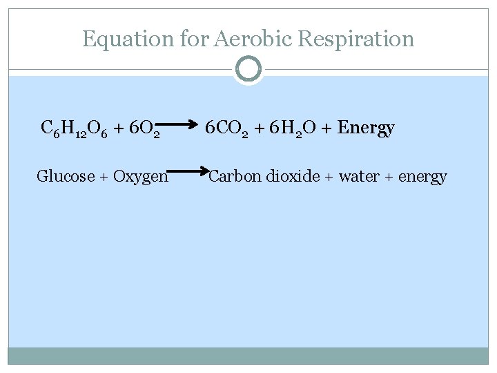 Equation for Aerobic Respiration C 6 H 12 O 6 + 6 O 2 Equation for Aerobic Respiration C 6 H 12 O 6 + 6 O 2