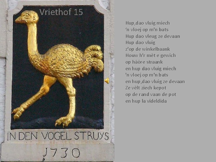 Vriethof 15 Hup, dao vluig miech ‘n vloej op m'n bats Hup dao vleug