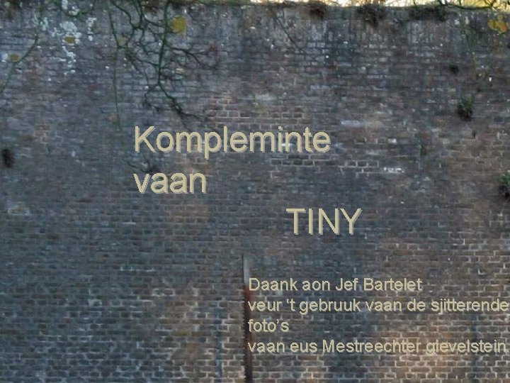 Kompleminte vaan TINY Daank aon Jef Bartelet veur ‘t gebruuk vaan de sjitterende foto’s