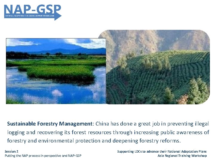 Sustainable Forestry Management: China has done a great job in preventing illegal logging and