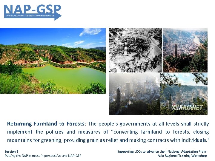 Returning Farmland to Forests: The people's governments at all levels shall strictly implement the