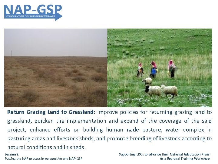 Return Grazing Land to Grassland: Improve policies for returning grazing land to grassland, quicken