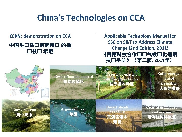 China’s Technologies on CCA CERN: demonstration on CCA 中国生�系�研究网� 的适 �技� 示范 Desertification control