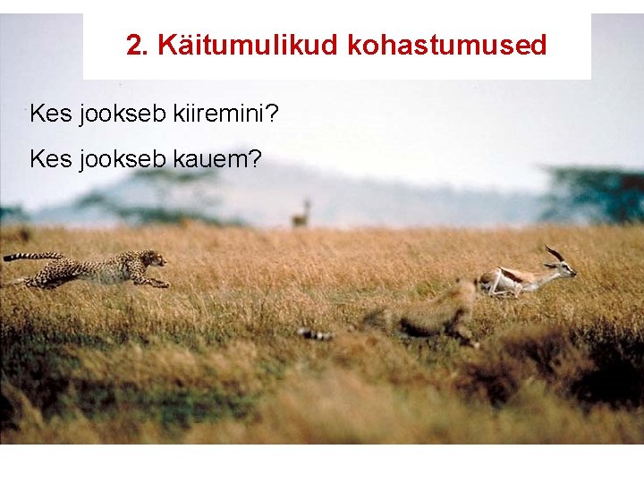 2. Käitumulikud kohastumused Kes jookseb kiiremini? Kes jookseb kauem? 