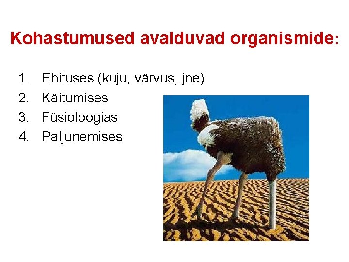 Kohastumused avalduvad organismide: 1. 2. 3. 4. Ehituses (kuju, värvus, jne) Käitumises Füsioloogias Paljunemises