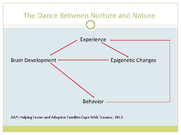 The Dance Between Nurture and Nature Experience Brain Development Epigenetic Changes Behavior AAP: Helping