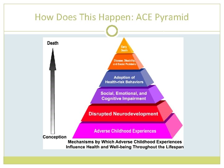 How Does This Happen: ACE Pyramid 